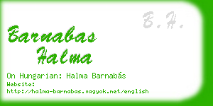 barnabas halma business card