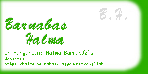 barnabas halma business card